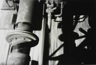 photograph