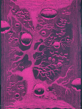 wallpaper