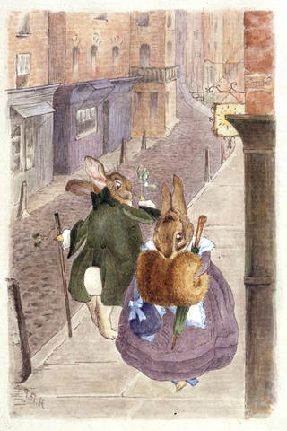 Lady rabbit and gentleman rabbit