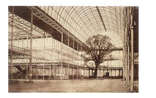 Photograph taken inside the Crystal Palace transept, showing a tree and the empty structure of the building.