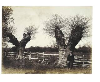 photograph