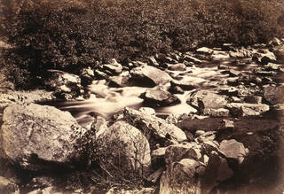 photograph