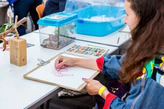 Families Workshop: Live Minibeast Drawing photo