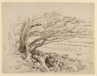 drawing