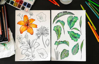 Online Workshop: Botanical Illustration photo