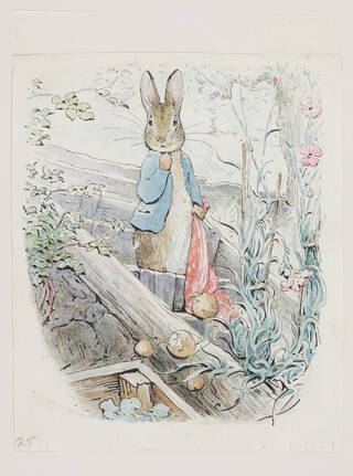 BSL Talk/Tour - Beatrix Potter: Drawn to Nature photo