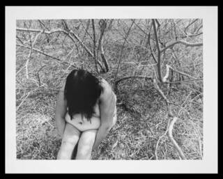 photograph