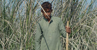 Jameel Prize: Moving Images photo